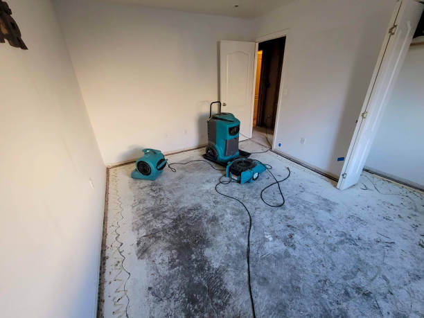 Best Commercial water damage restoration  in Jasper, TX