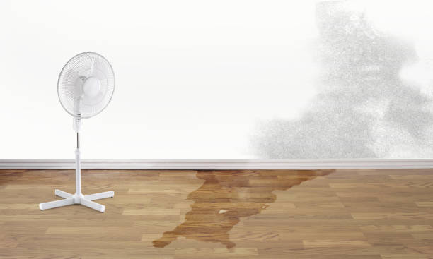 Best Fire Damage Restoration  in Jasper, TX