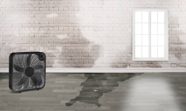 Best 24-hour water damage restoration  in Jasper, TX