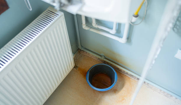 Best Carpet water damage restoration  in Jasper, TX