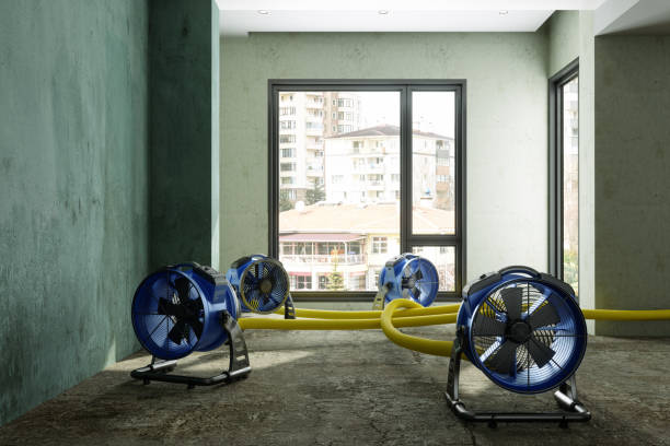 Best Water damage restoration near me  in Jasper, TX